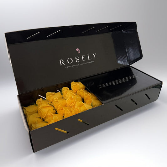 Honey Dream – Skicka Gula Rosor Online i Lyxig Box | ROSELY